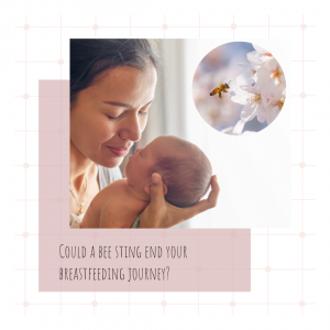 Read more about the article Could a bee sting end your breastfeeding journey?