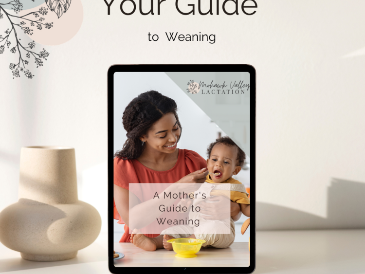 A Mother’s Guide to Weaning