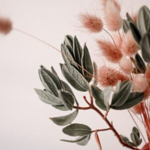 Service or Product 3