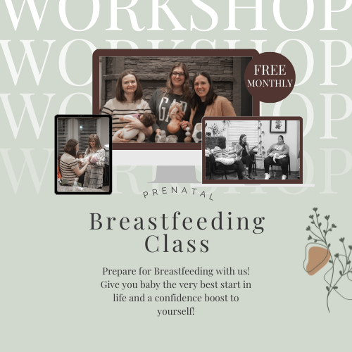 Prenatal Breastfeeding Class